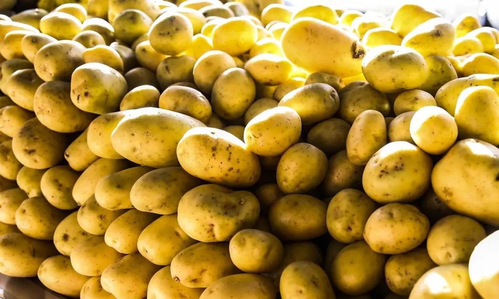 Batata e leite longa vida puxam inflação em junho