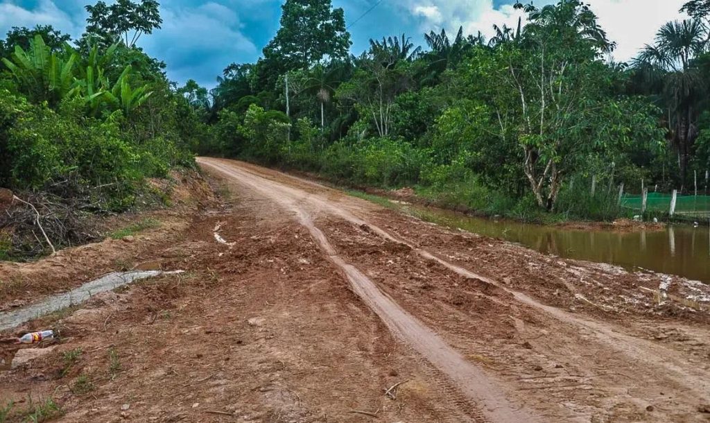 Falta equilíbrio no debate sobre a BR-319