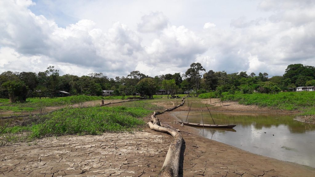 Seca severa e arboviroses em alta no Amazonas