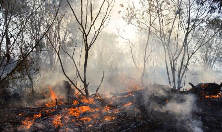 O FOGO É A ‘BOIADA’