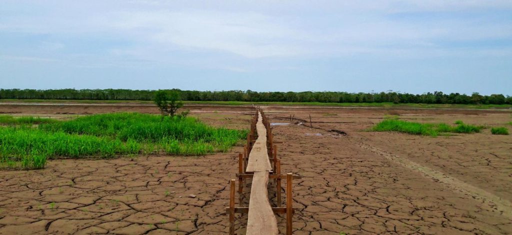 Ribeirinhos do Amazonas sofrem com a  falta de água tratada