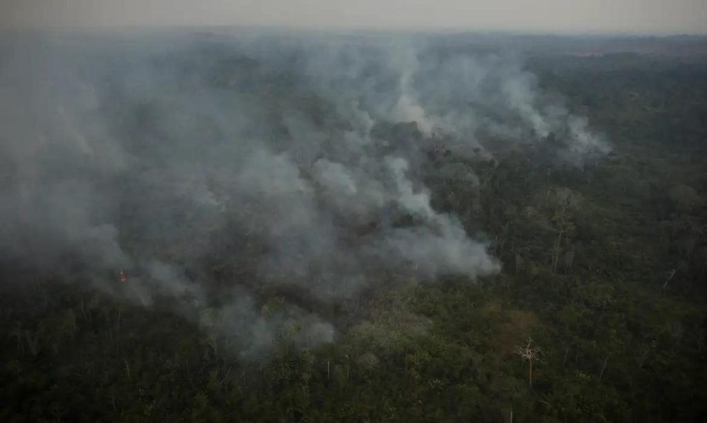 Despreparo favorece o recorde de queimadas