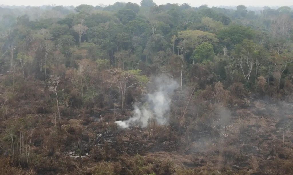 Amazônia já teve 2,5 milhões de hectares queimados em agosto