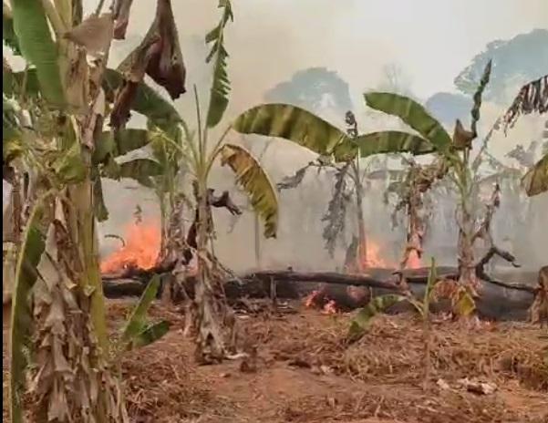 Incêndio em comunidade de Lábrea se espalha e atinge plantações e casas