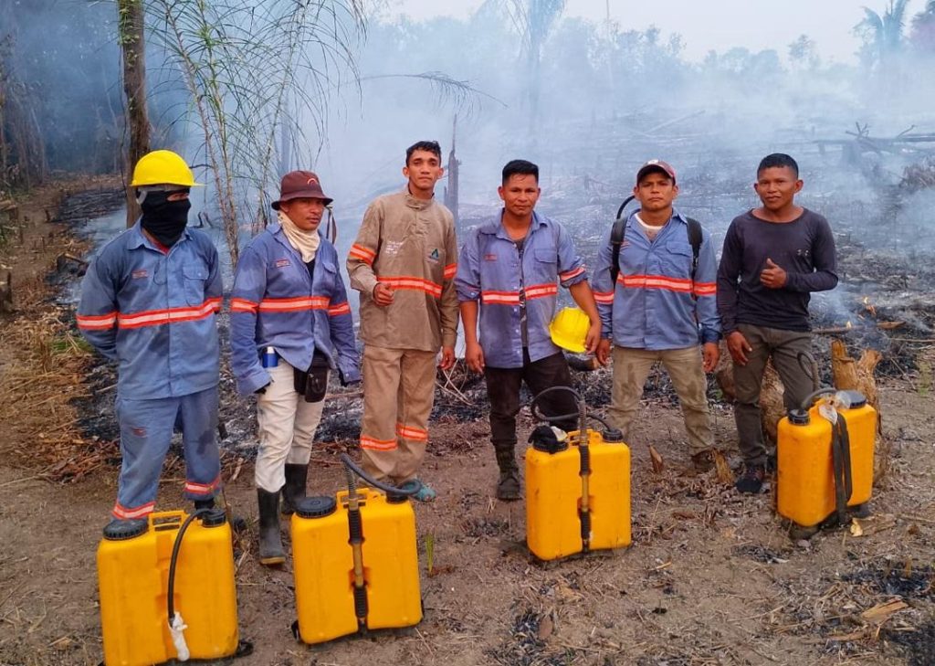 Brigada Indígena protege agroflorestas no Sul do Amazonas