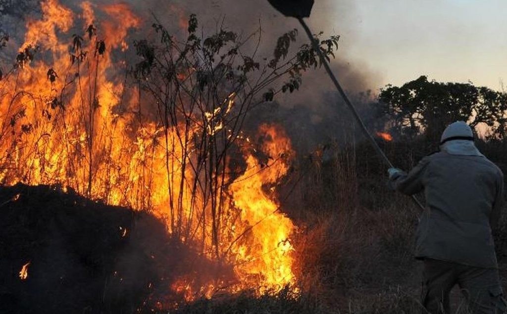 Brasil concentra 76% dos incêndios na América do Sul