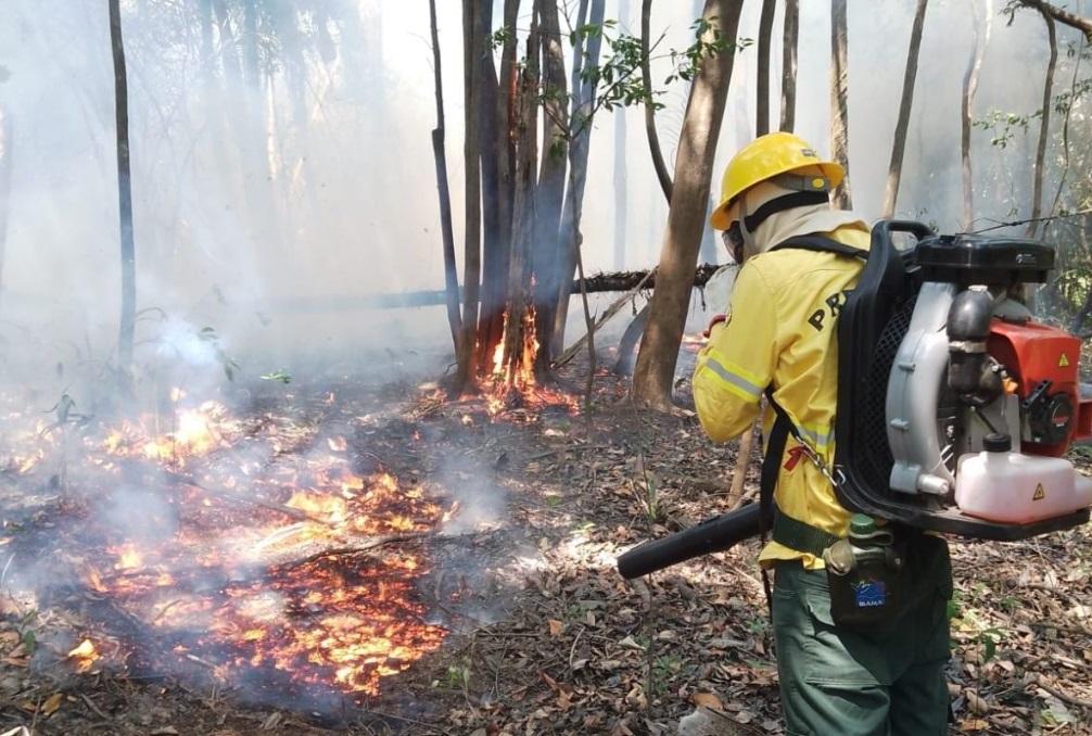 Ibama controla incêndios que ameaçavam comunidades no Careiro
