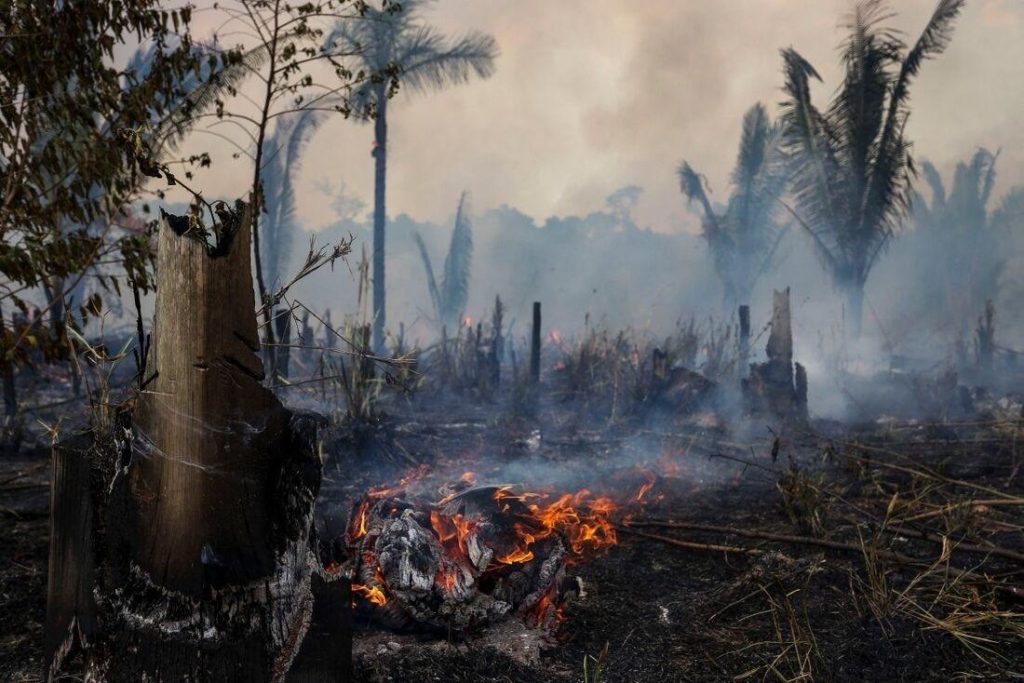 Os transtornos naturalizados