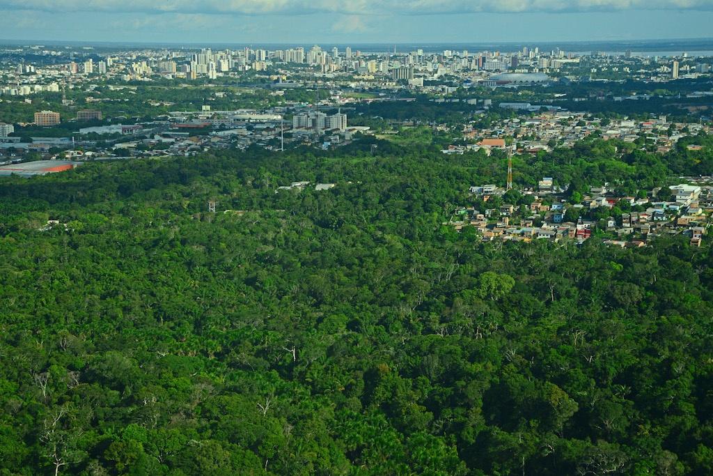 O verde em Manaus