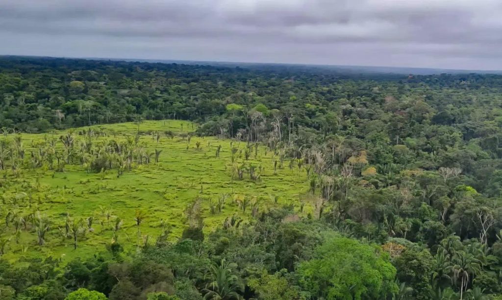 Mercado de carbono terá prioridade