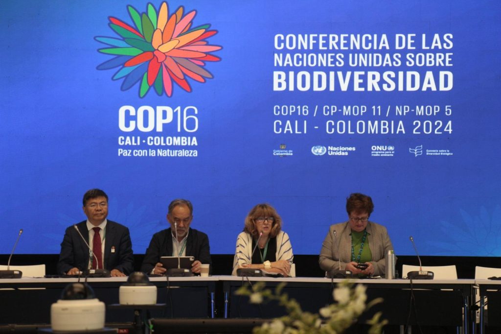 Quais são os caminhos que a COP16 oferece para a Amazônia?