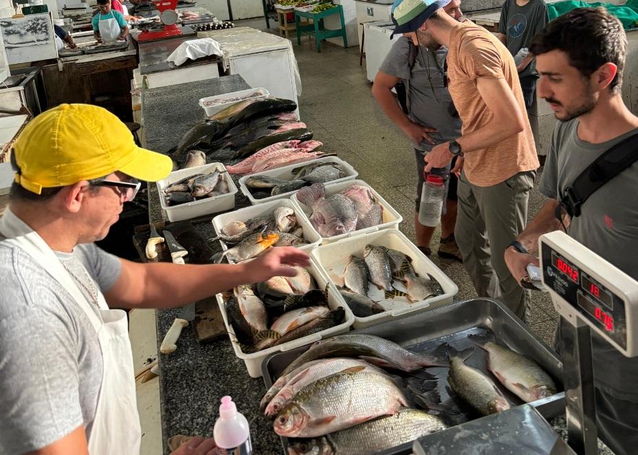 Pesquisadores da UEA indicam contaminação por mercúrio em peixes do rio rio Madeira