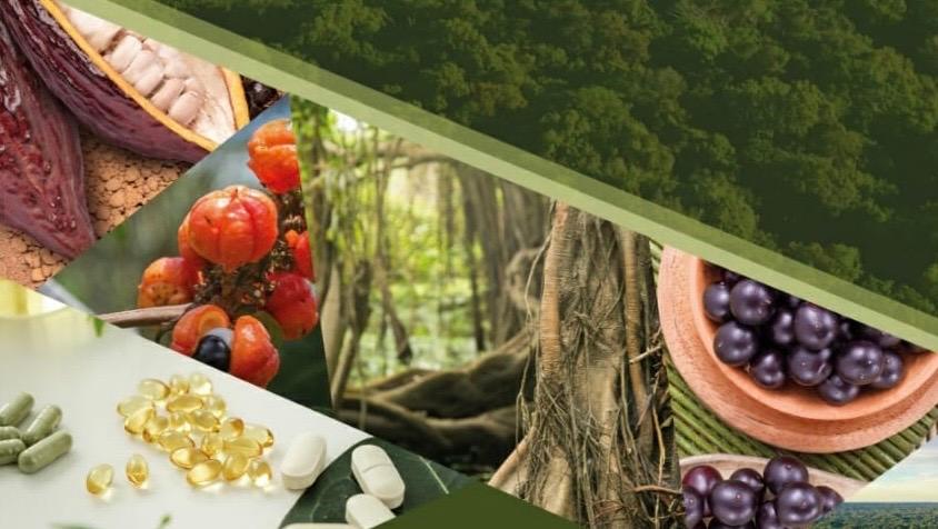 Evento virtual lançará e-book sobre bioeconomia e Economia Verde