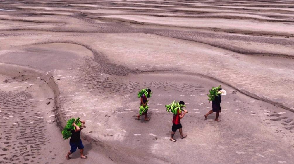 Estado e municípios ainda não têm planos climáticos