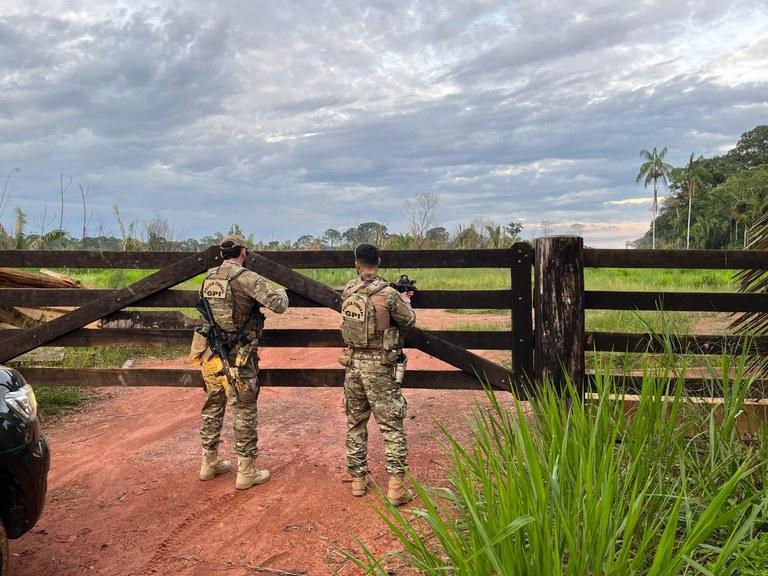 PF combate desmatamento ilegal, grilagem de terras e lavagem de dinheiro no Amazonas