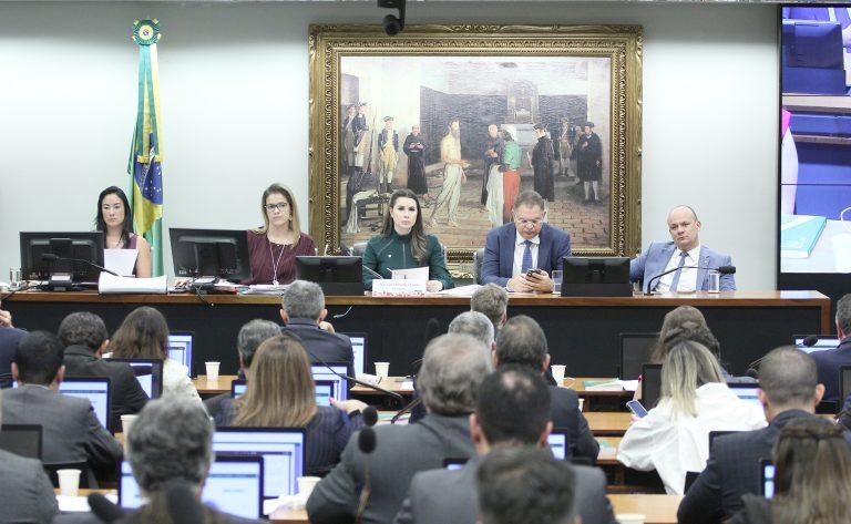 O que a CCJ da câmara está fazendo?