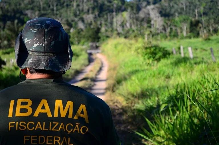 Concurso do Ibama terá 460 vagas com salários de R$ 9.994,6