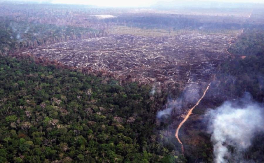 Amazonas lidera em créditos barrados pelo BNDES