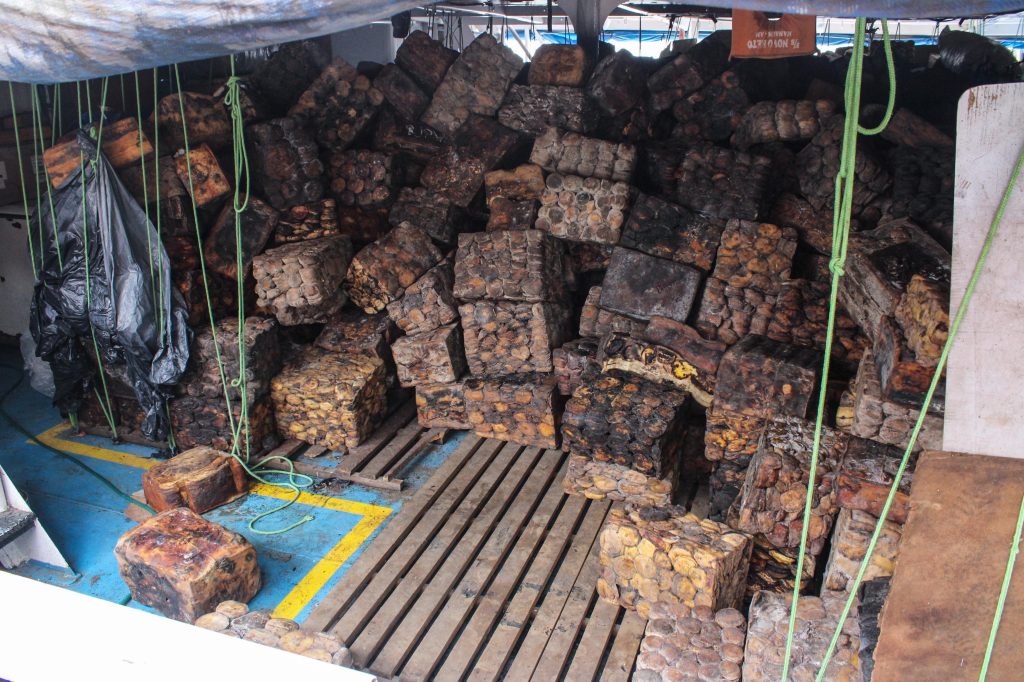 Mais de 50 toneladas de borracha nativa da Amazônia são enviadas para Salvador
