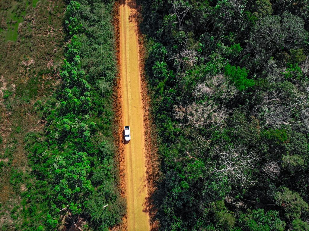 Desmatamento tem aumento de 85% na BR-319 e impacta indígenas