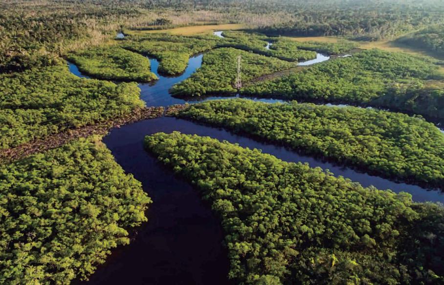 Conectividade na Amazônia