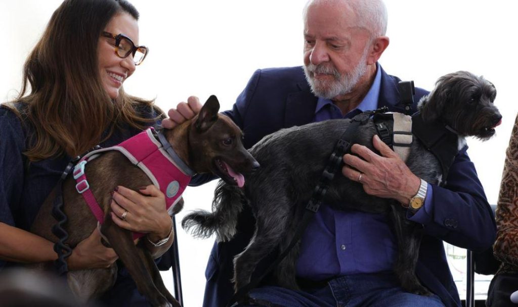 RG animal é lançado para facilitar identificação e cuidados com pets no Brasil