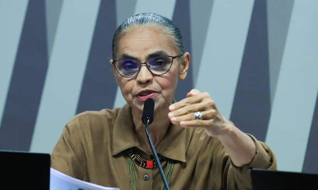 Lula e Marina Silva conversam sobre ataques em comissão do Senado