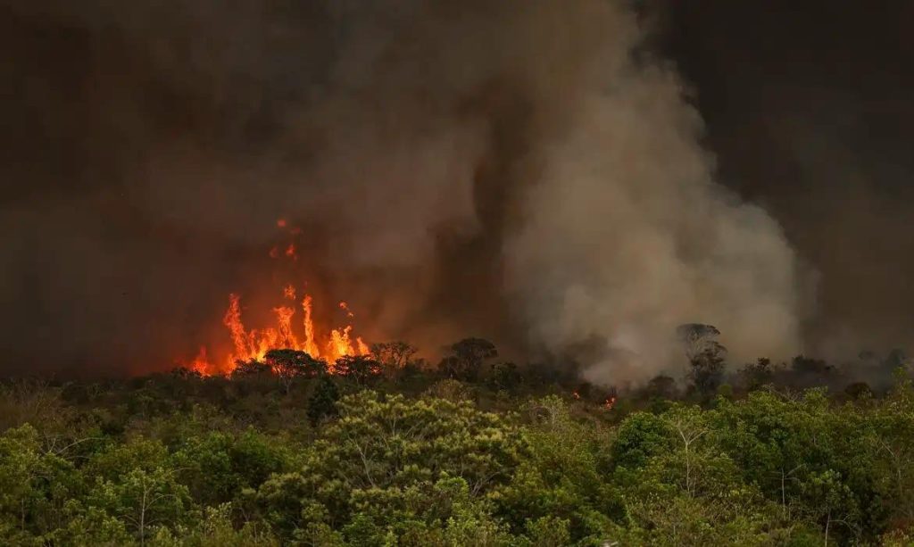Queimadas fazem desmatamento crescer 92% na Amazônia