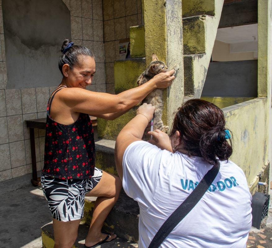 Manaus busca profissionais para atuar na Campanha de Vacinação Antirrábica 2025