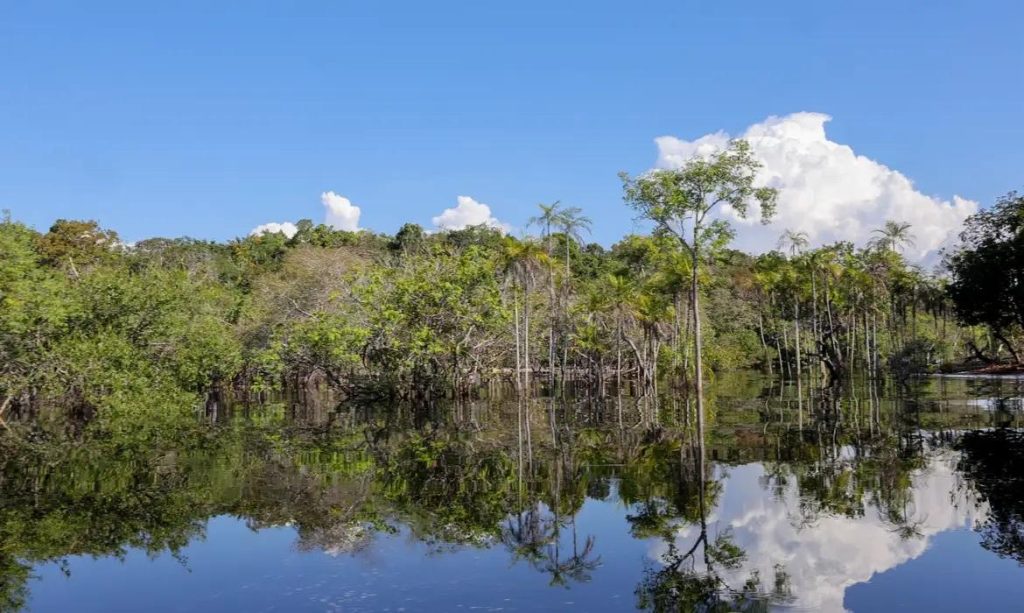 Os cientistas e a articulação por dentro da Amazônia