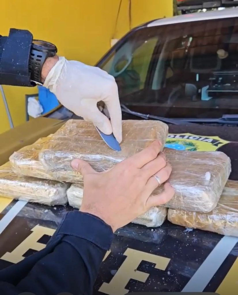 Passageira de ônibus é presa com mais de 6 kg de maconha em mala na BR-319