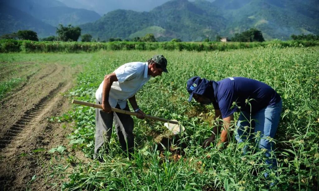 Aposta na agricultura familiar
