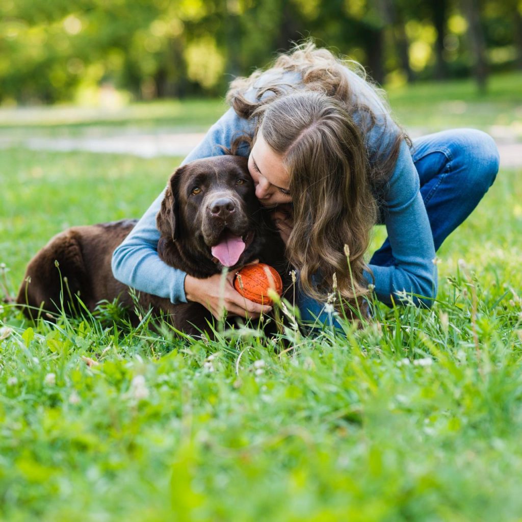 Ansiedade em pets: saiba como reconhecer os sinais e prevenir