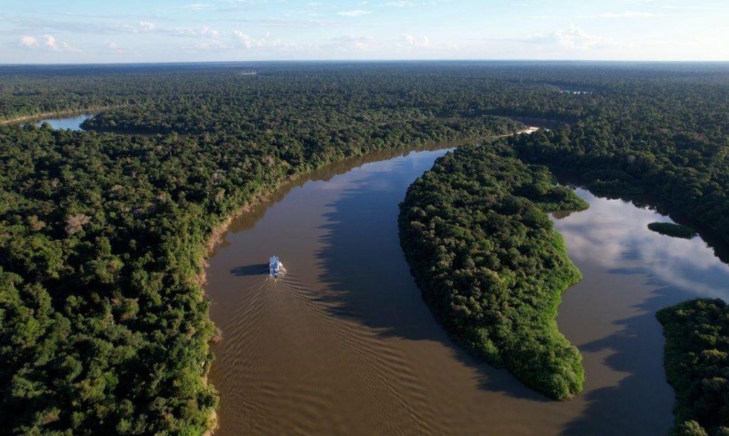 Fazendas ilegais de gado devastam áreas protegidas na Amazônia