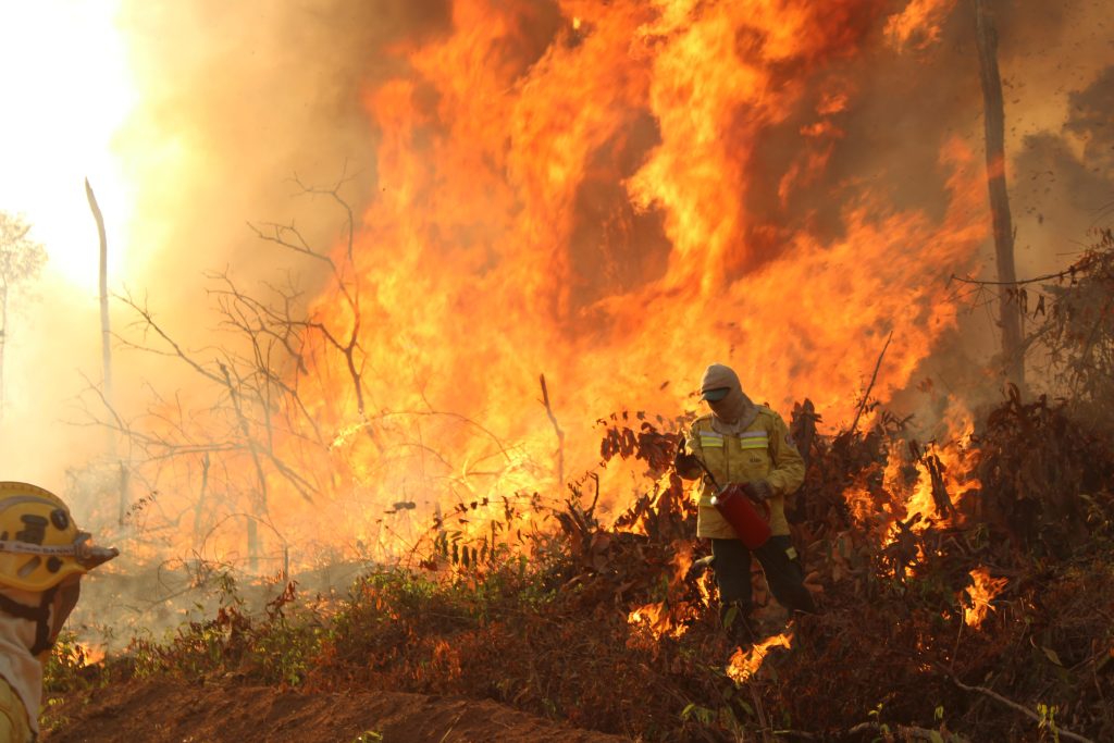 Indígenas brasileiros enfrentam floresta amazônica mais seca