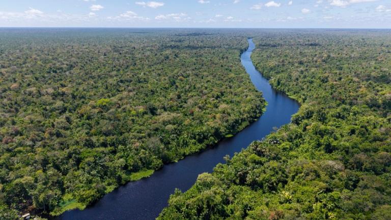 UniNorte e ABRAPS promovem Meet Up Pré-COP30 sobre ESG e futuro sustentável da Amazônia