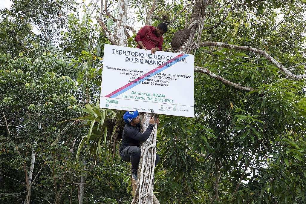 Comunitários vão realizar gestão coletiva da floresta no interior do Amazonas