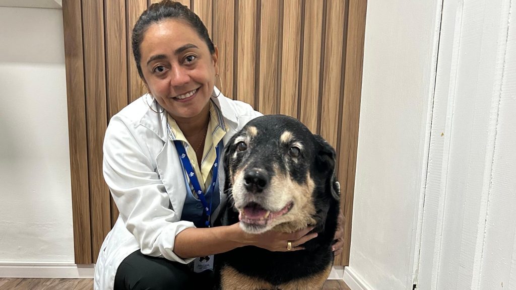 Cuidados redobrados com os pets na temporada de chuvas