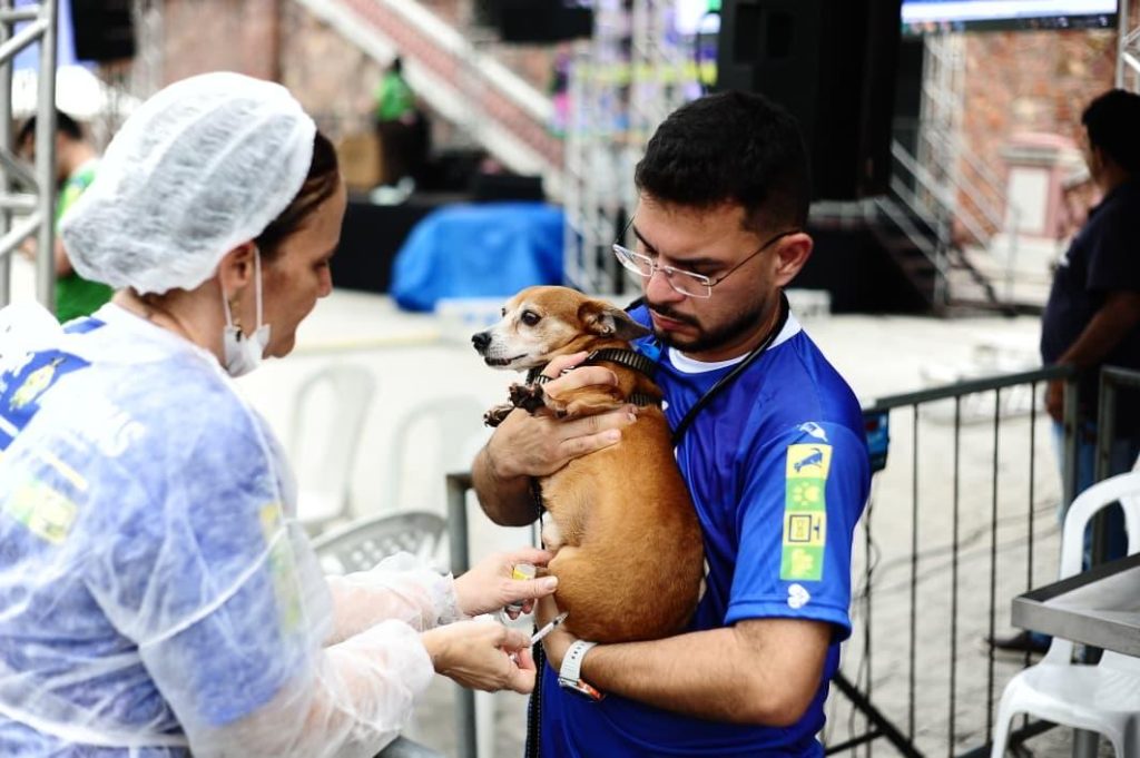 Com mais de mil atendimentos, Mega Castração de pets segue até 17h no Centro de Manaus