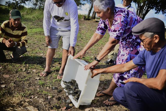 Filhotes devolvidos à natureza são ‘termômetro’ de equilíbrio ambiental