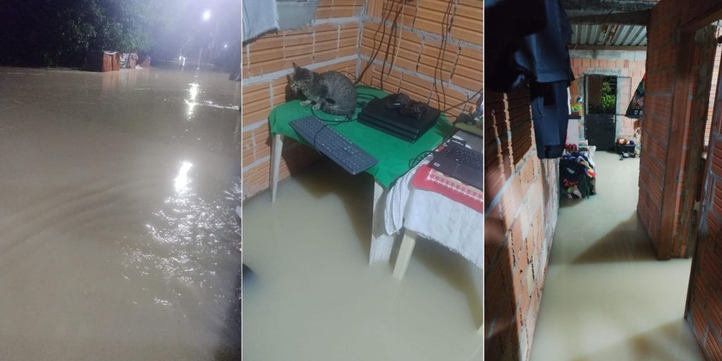 Professora de Manaus pede ajuda após alagamento; veja como doar