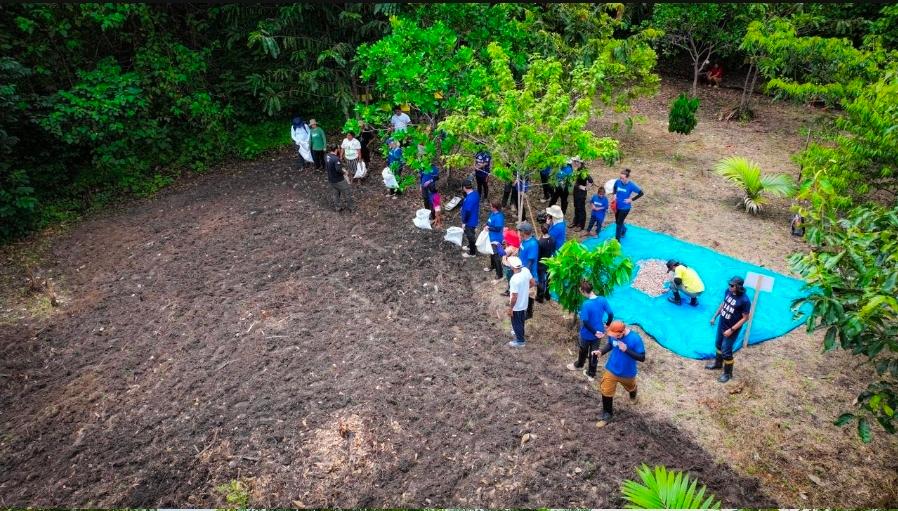COB celebra dois anos da Floresta Olímpica do Brasil