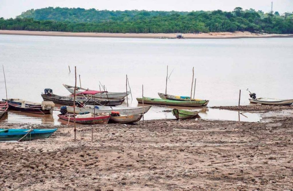 Municípios do Amazonas se preparam para nova seca e alertam para risco de super El Niño