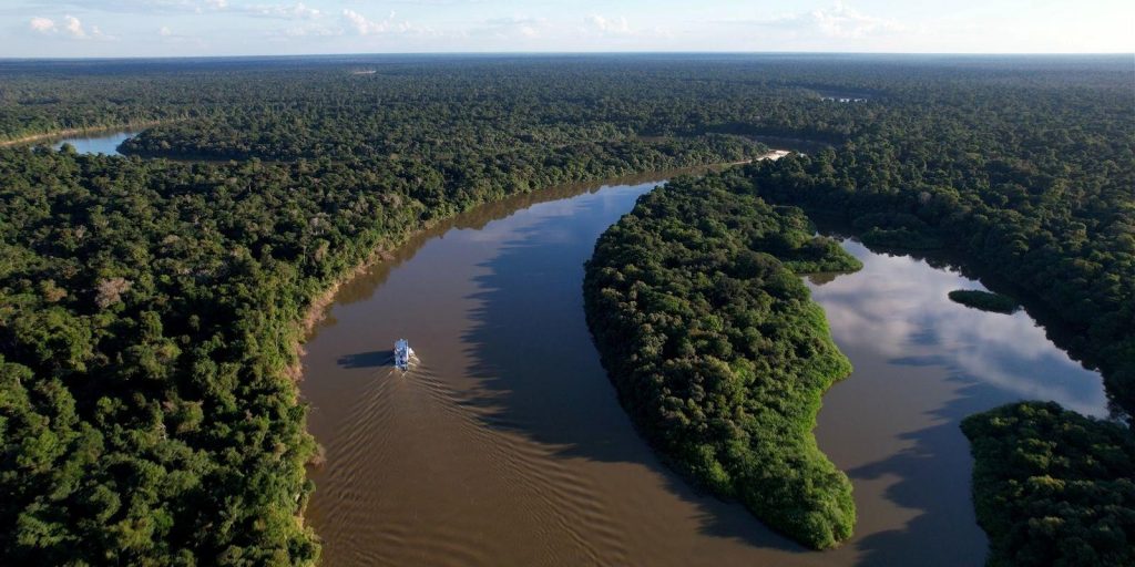 Amazonas reduz desmatamento em 14,6% em 2025, aponta relatório do MapBiomas