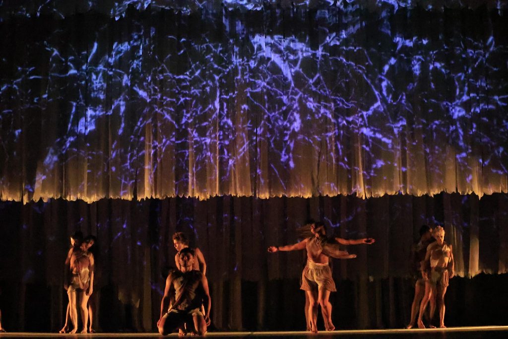 Corpo de Dança transforma ave amazônica em espetáculo no Teatro Amazonas