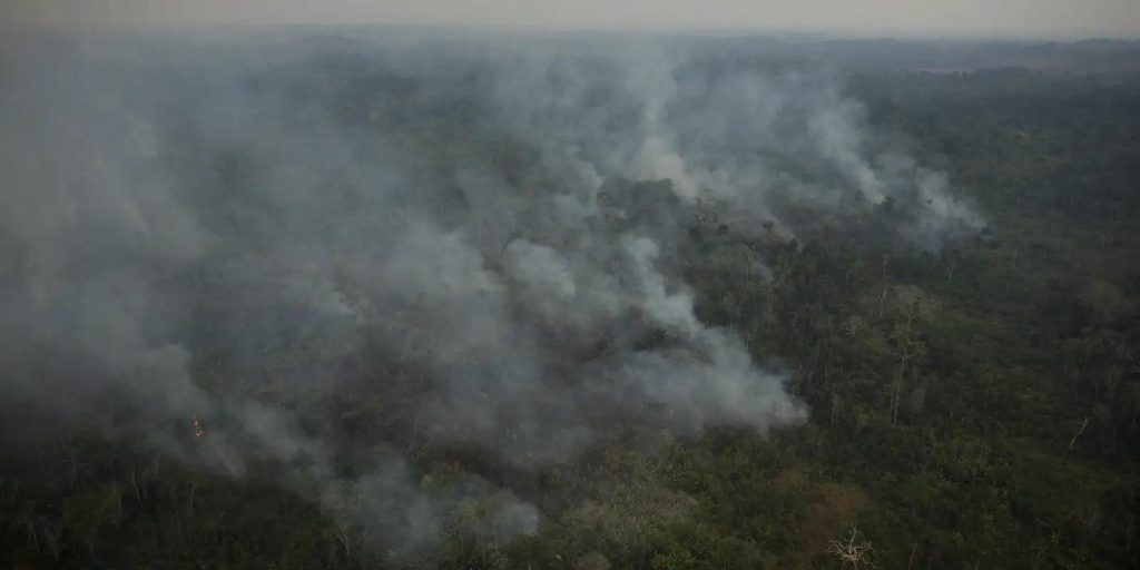 Apuí e Boca do Acre ganham reforço contra queimadas