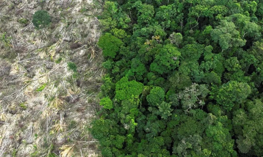 Crise climática é o pior desafio da história humana, diz cientista