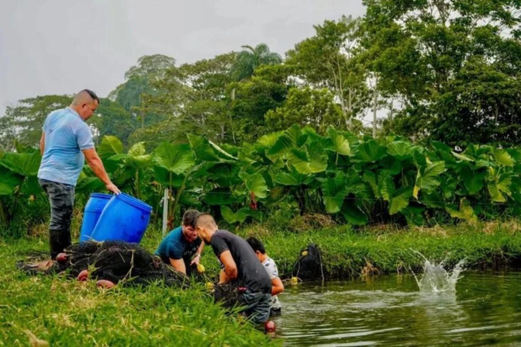 Cooperativismo como instrumento de paz