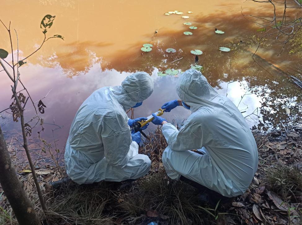 Estudo alerta sobre o risco de nova pandemia