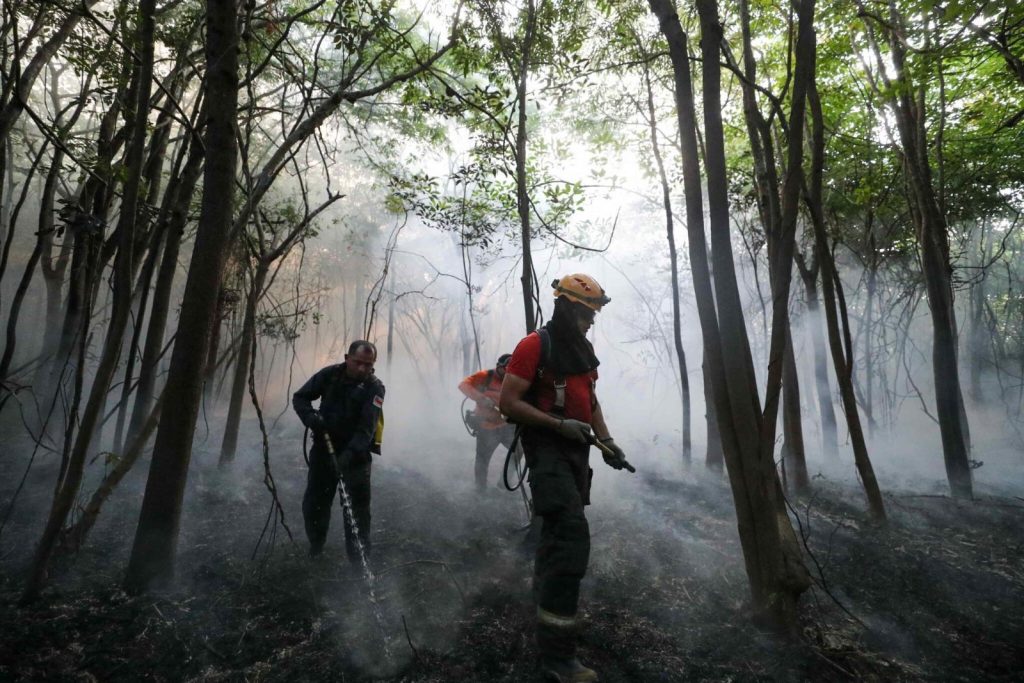 El Niño: bombeiros veem incêndios dobrarem e estimam pico em setembro